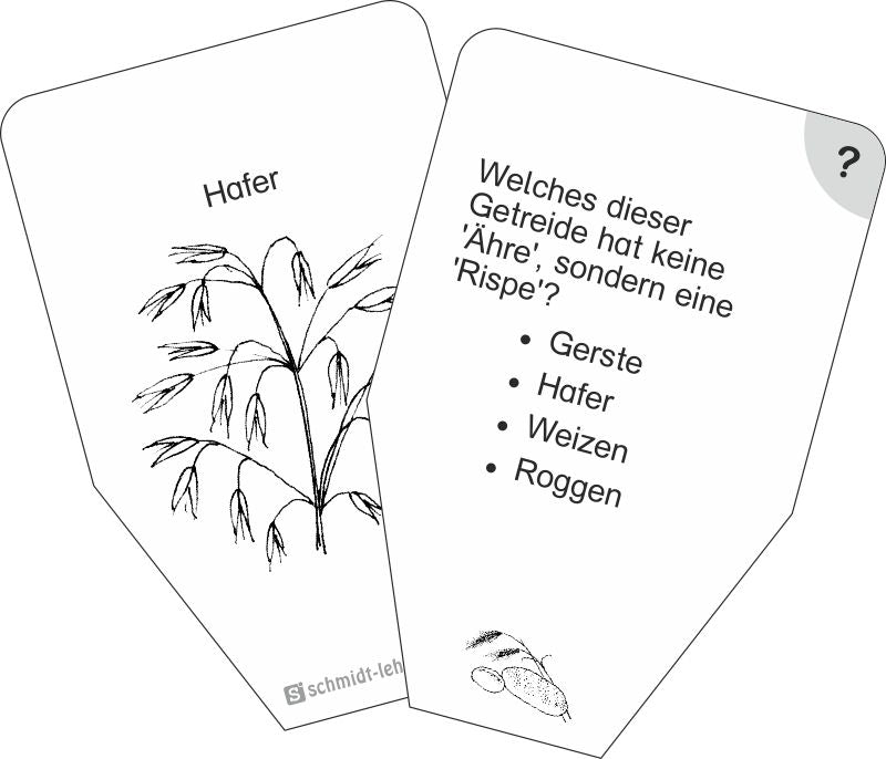 Brot und Getreide (Super-Acht)