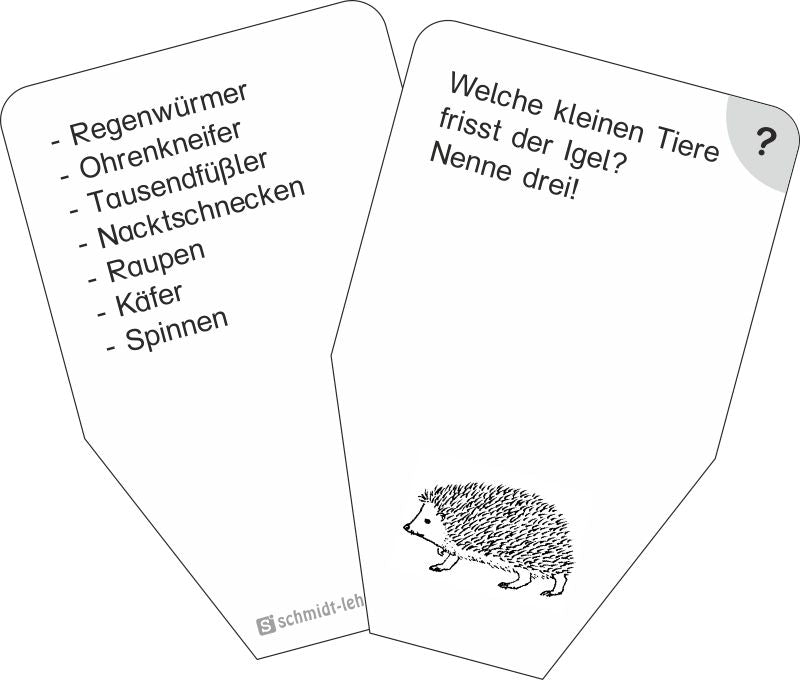 Igel (Super-Acht)