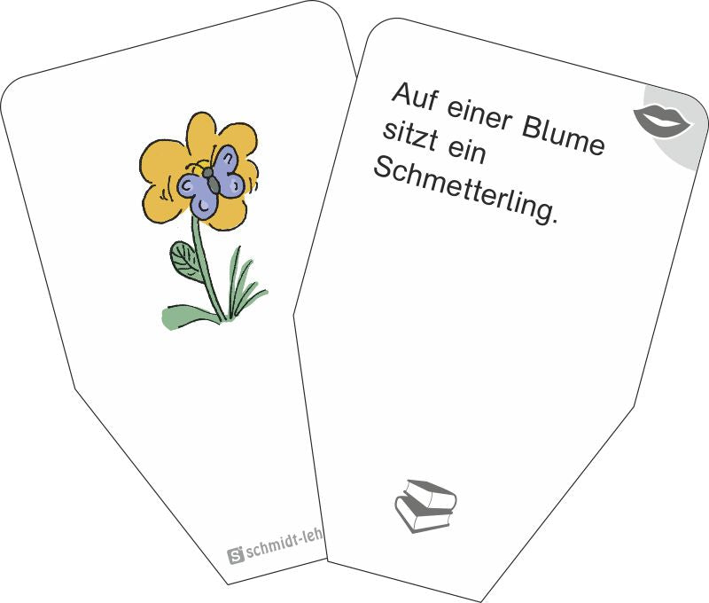 Lese-Satzkarten II (Super-Acht)