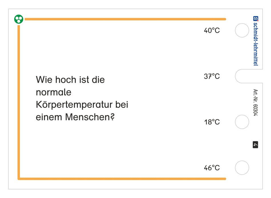 Der menschliche Körper (Stöpselkasten)