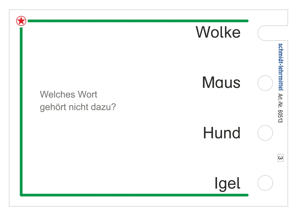 Welches Wort gehört nicht dazu (Stöpselkasten)