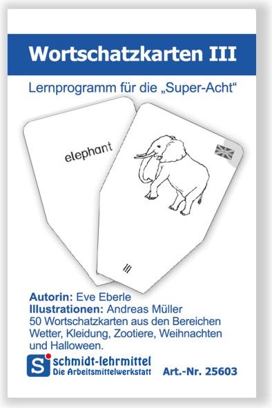 Wortschatzkarten Frühenglisch III (Super-8)